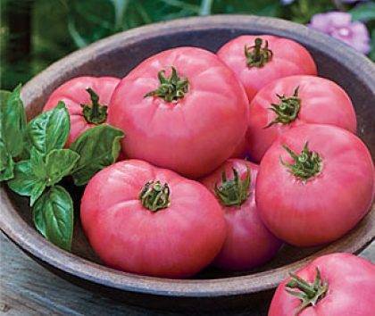 Томат чудо земли: описание сорта, характеристика, урожайность, особенности выращивания помидоров, отзывы от тех, кто сажал, фото