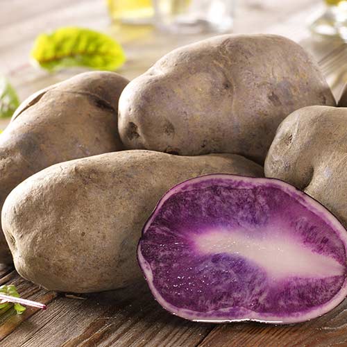 Сорта фиолетового картофеля и его полезные свойства