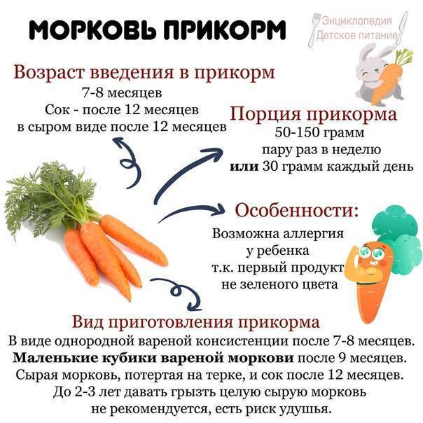 Как правильно вводить морковь в прикорм малышу