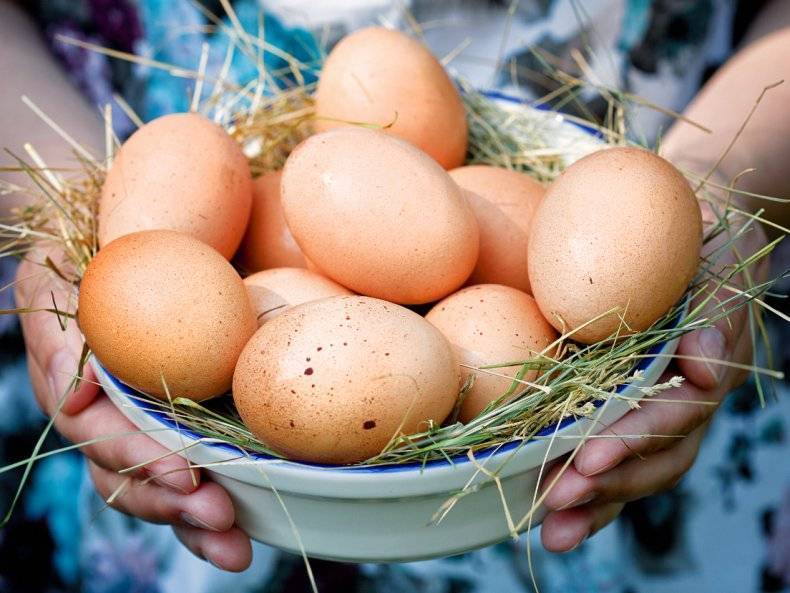 Как узнать, сколько весит куриное яйцо без скорлупы