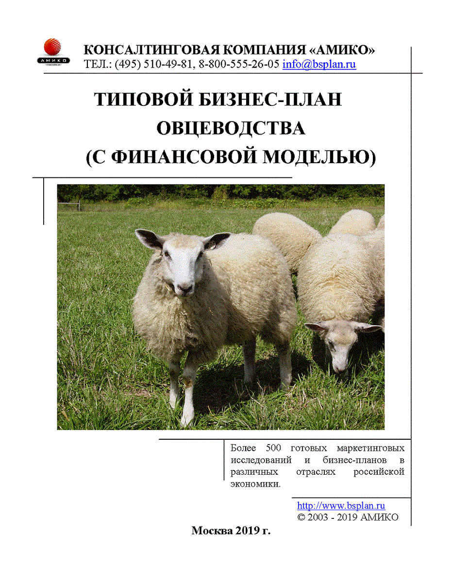 Бизнес на разведении баранов и овец: 5 основных правил — finfex.ru