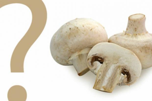 Калорийность грибов. таблица калорийности грибов.