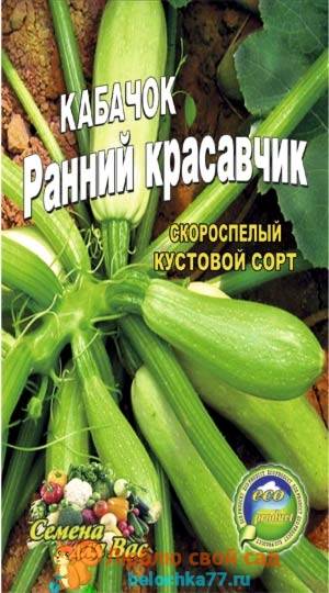 5 моих любимых сортов и гибридов кабачков-цукини. описание, фото — ботаничка.ru