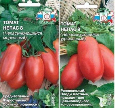 Характеристика и описание сортов непасынкующихся томатов