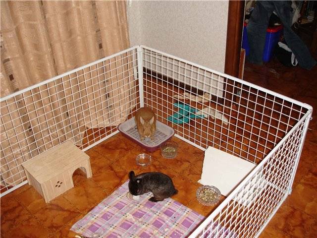 Крольчатник (49 фото): как сделать клетку для кроликов своими руками по чертежам? размеры мини-ферм в 2 яруса и других моделей, оригинальные идеи постройки