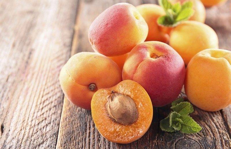 Лучшие сорта абрикосов