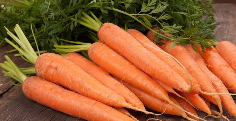 Сушеная морковь: в духовке и электросушилке, применение, хранение