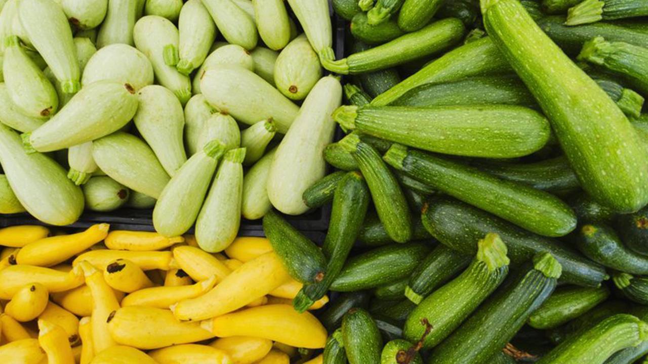 Подкормка тыквы в открытом грунте: чем подкормить и когда вносить удобрение