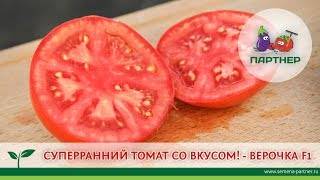 Томат баланс f1: фото куста и отзывы об урожайности помидоров, описание и характеристика сорта
