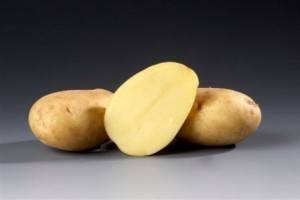 Сорт картофеля «лабадия (labadia)» – описание и фото