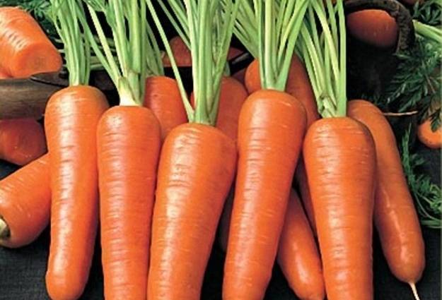 Когда сажать морковь под зиму в 2020 году по лунному календарю: благоприятные дни для посадки по регионам