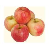Яблоня голден делишес — превосходный сорт с ароматными сладкими плодами