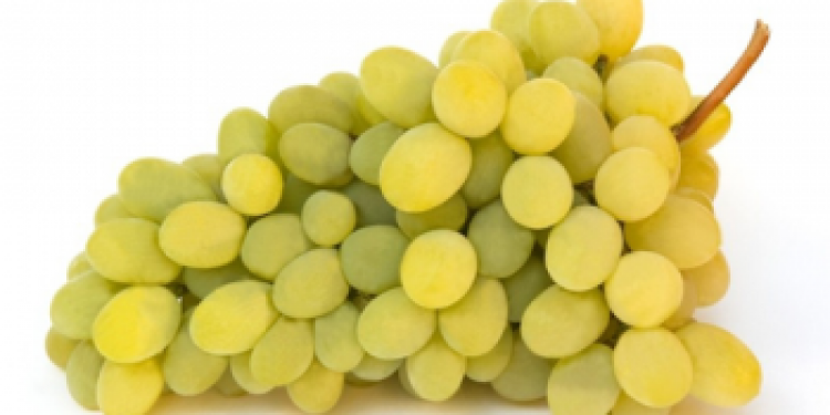 Виноград: калорийность на 100 грамм. польза и вред винограда