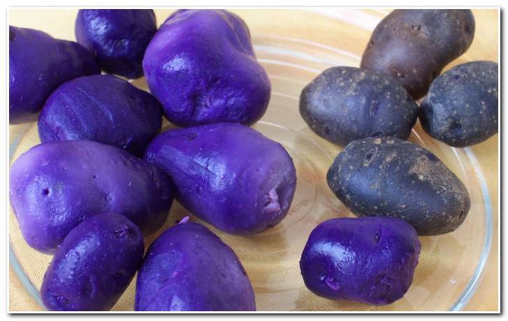 Полезные свойства фиолетового картофеля с антиаксидантной добавкой — здоровый универсальный углевод