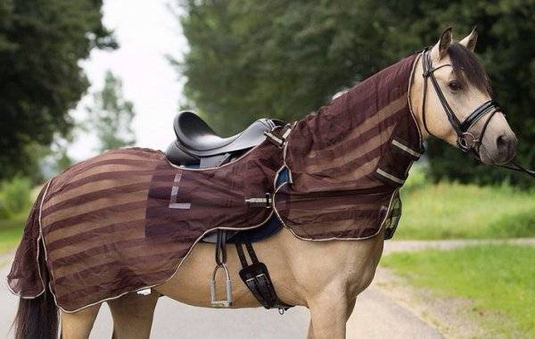 Одежда для лошади: уздечка, мартингал, седло, попона, фото