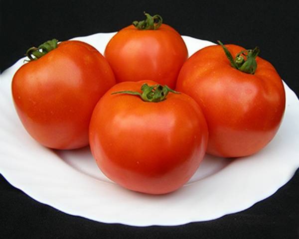 Характеристика и описание сорта томата татьяна – дачные дела