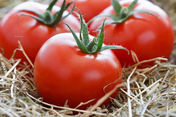Как можно сохранить помидоры свежими