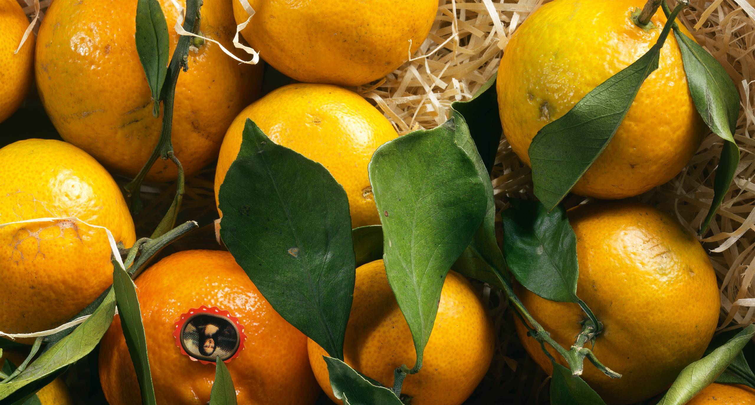 Марокканские мандарины: описание, свойства, вкус