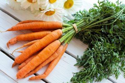 Морковный сок при беременности: почему хочется постоянно грызть морковку  при беременности, и в каком виде она более полезна – сок, сырая, тушеная или по-корейски