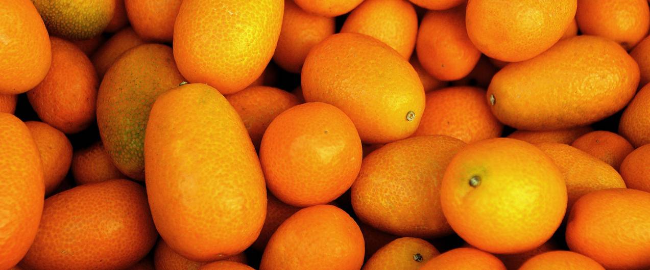 Польза и вред апельсина для организма человека - польза или вред