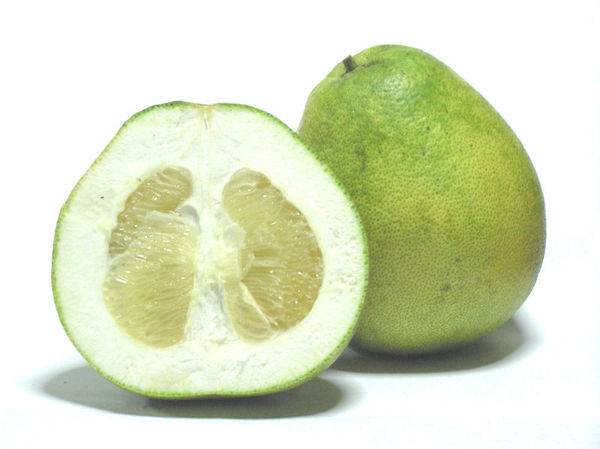 Цитрусовые фрукты: список названий и фото деревьев