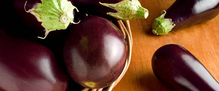 Баклажаны — польза и вред овоща для здоровья