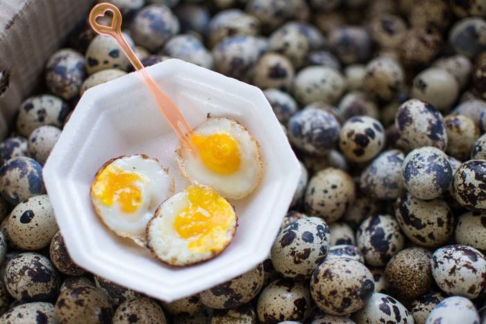 В чем польза и вред перепелиных яиц для мужчин?