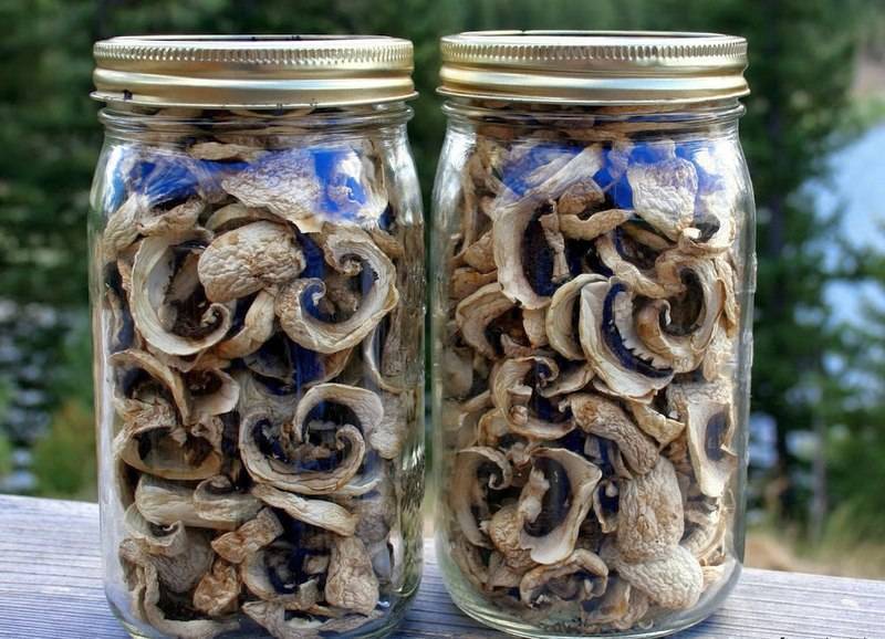 Как и где можно хранить сушеные грибы