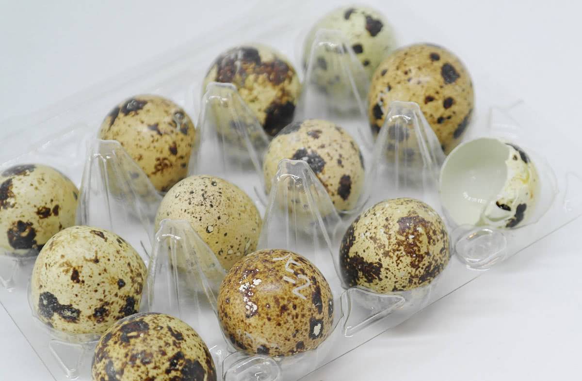 Польза и вред перепелиных яиц для здоровья человека — кому их можно есть и в каком количестве