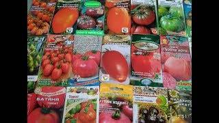 ᐉ томат "оранжевое чудо" описание и характеристики сорта больших рыжих помидоров - orensad198.ru