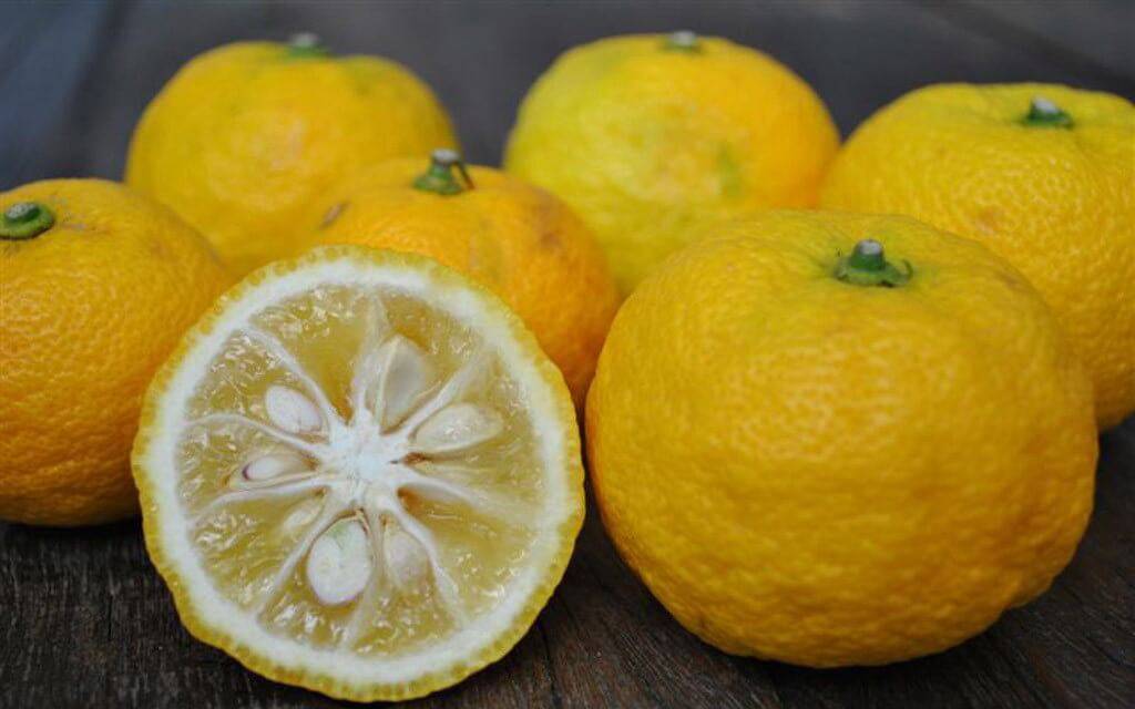Японский лимон юзу