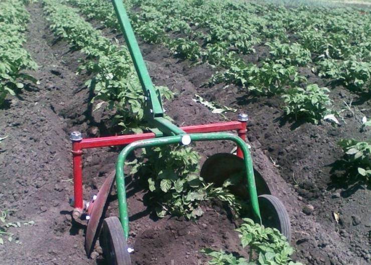 Окучник: размеры. как выбрать и настроить двухрядное активное устройство для посадки картофеля? как его использовать?