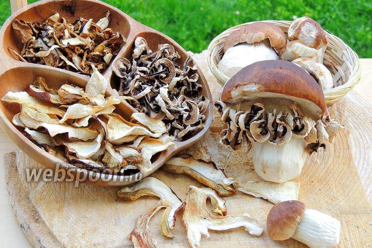 Как сушить белые грибы в домашних условиях: духовка и микроволновка