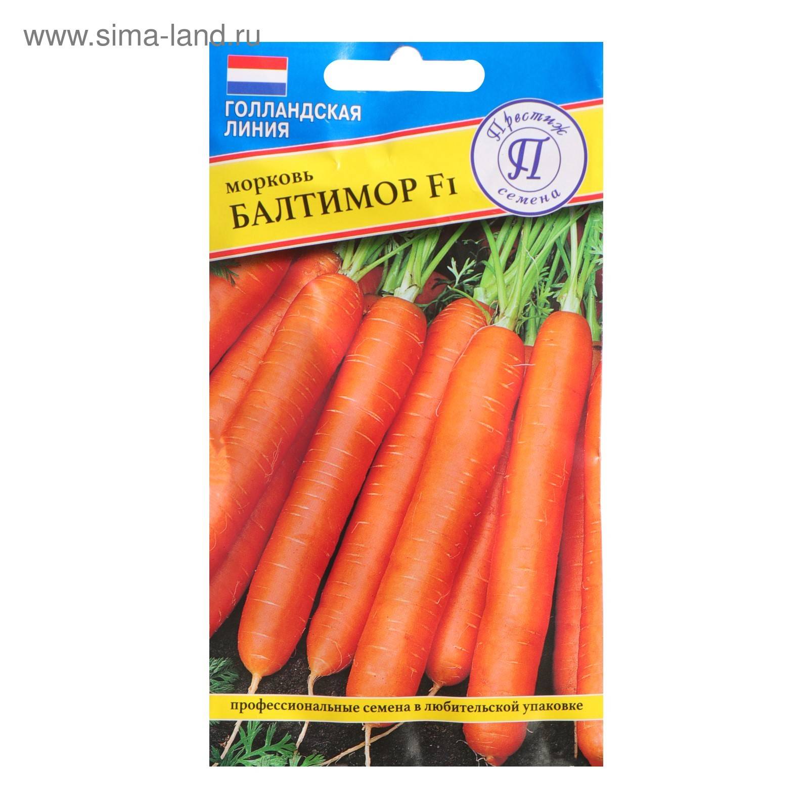 Морковь бангор f1: описание, фото, отзывы