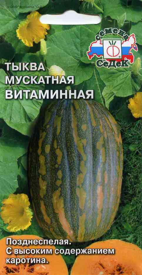 Тыква баттернат: описание и характеристика сорта, выращивание с фото