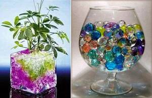 Гидрогель для растений и комнатных цветов: инструкция по применению