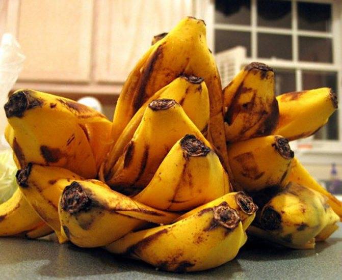 Чем опасно использование банановой кожуры в качестве удобрения?