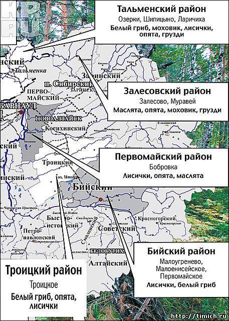 Грибная карта краснодарского края