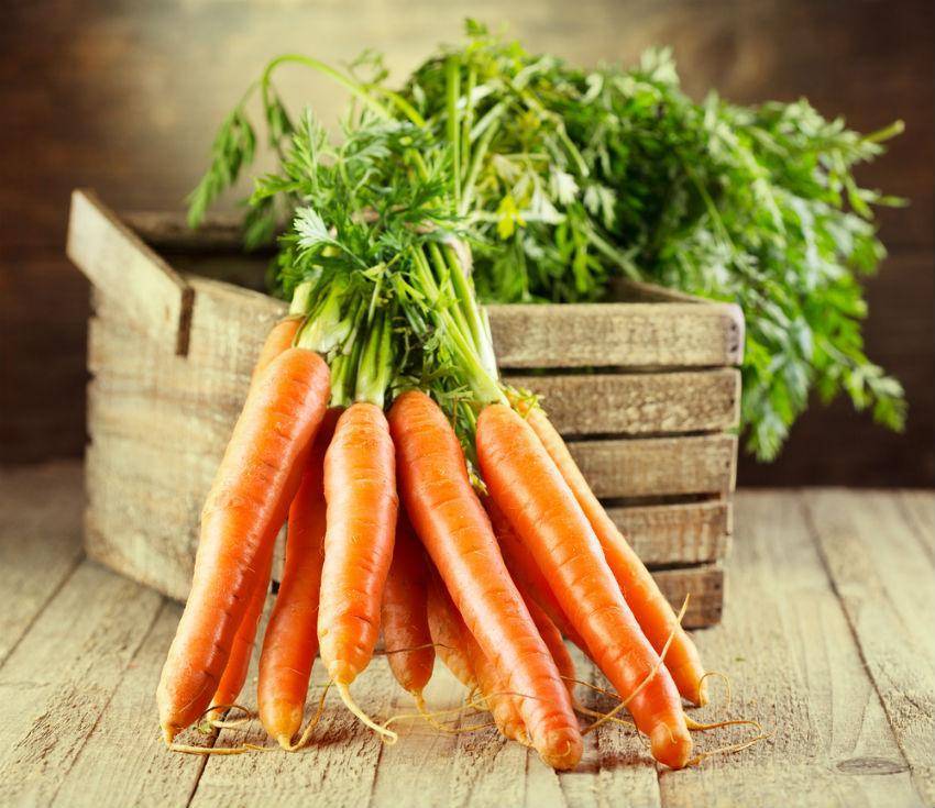 Как посеять морковь, чтобы не прореживать: самые лучшие способы!