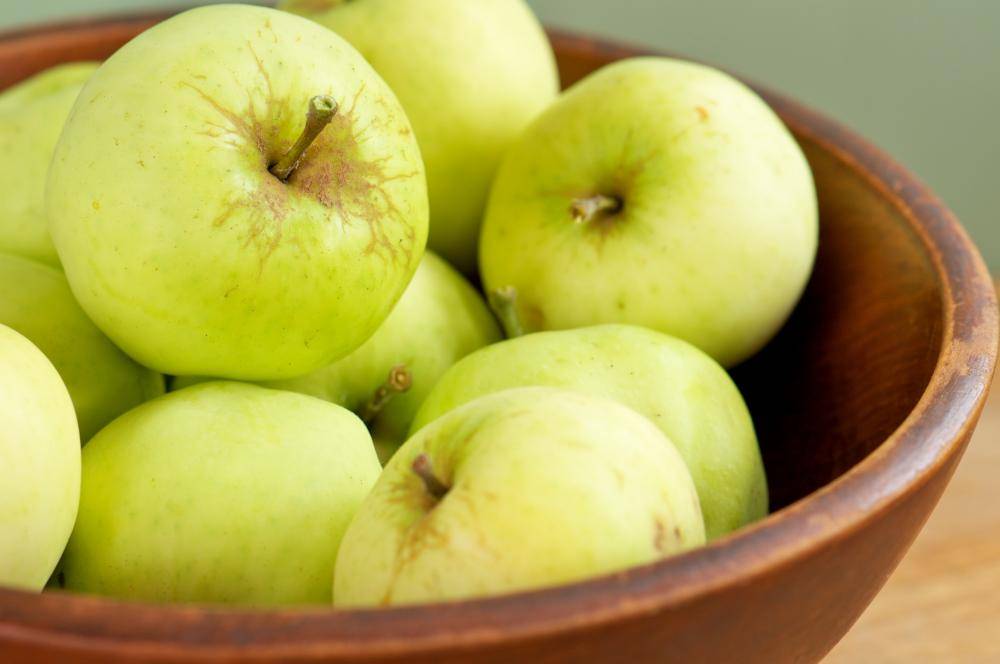 Сорт яблок антоновка, описание, характеристика и отзывы, а также особенности выращивания