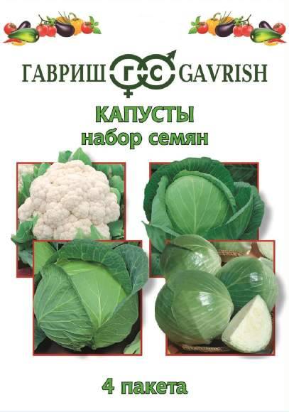 Самые известные сорта капусты. капуста кормовая: описание, особенности выращивания, сорта, фото