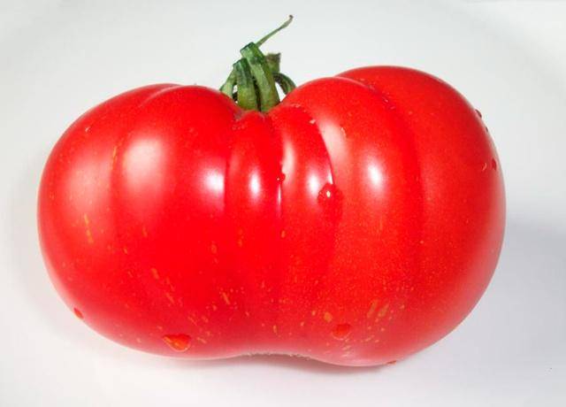 Чем знаменит томат сорта вова путин, особенности агротехники, отзывы фермеров