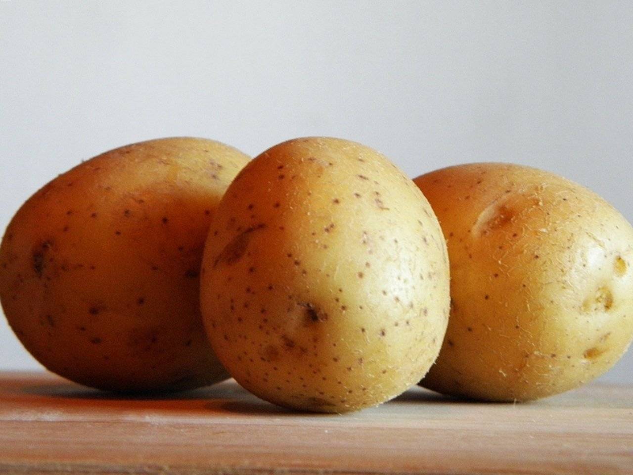 Описание сорта картофеля Метеор — особенности выращивания