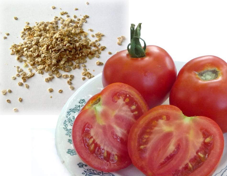 Как правильно собрать и сохранить семена помидоров