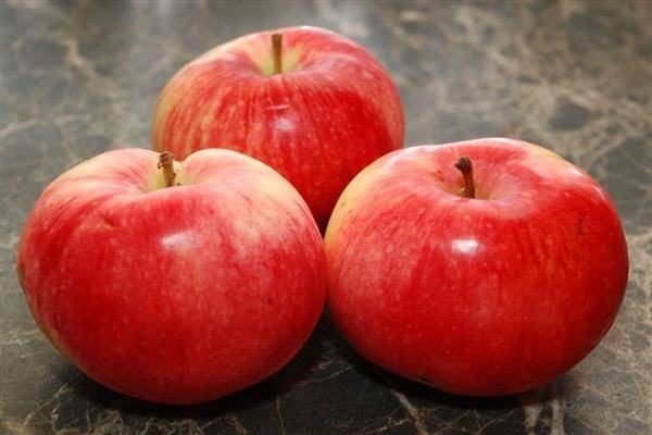 Сорт яблони усада: описание, фото и видео