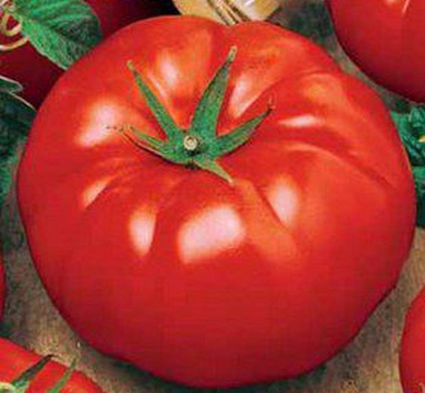 Биг биф: описание сорта томата, характеристики помидоров, посев