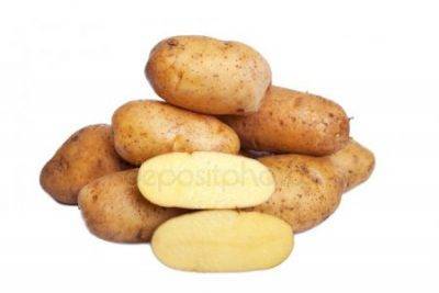 Внекорневая подкормка картофеля: нормы, рецепты