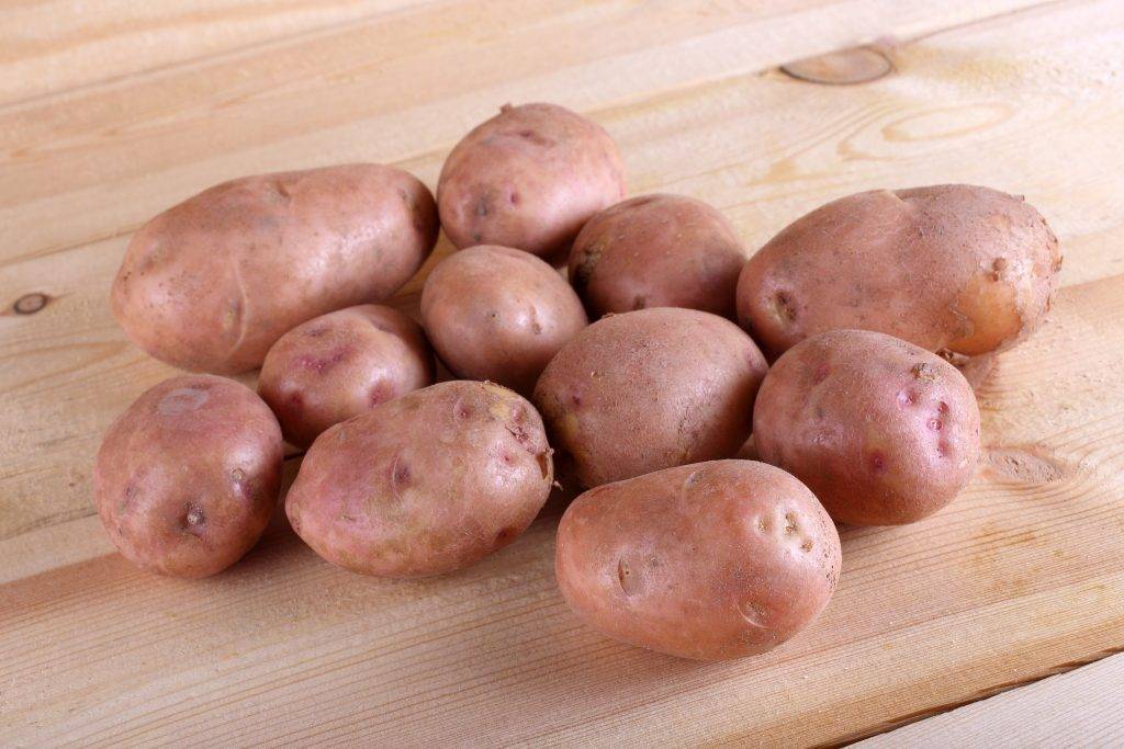 Сорт картофеля "розалинд": описание, характеристика и фото, выращивание и уход