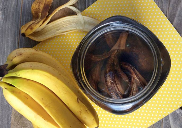 Банановая кожура для огорода как удобрение: способы применения