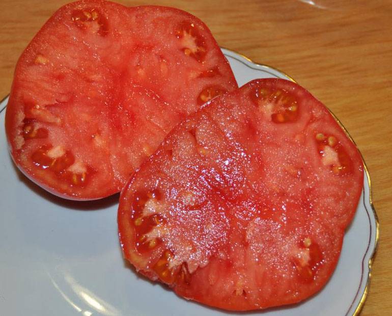 Томат "розовый гигант": описание сорта, характеристика, выращивание, фото помидоров русский фермер